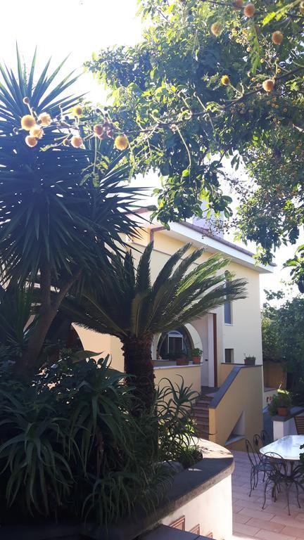 La Gaggia Guest House Piano di Sorrento Exterior photo